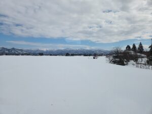 いろんなことが３月には分かりますかね。そこから動きましょうかね。